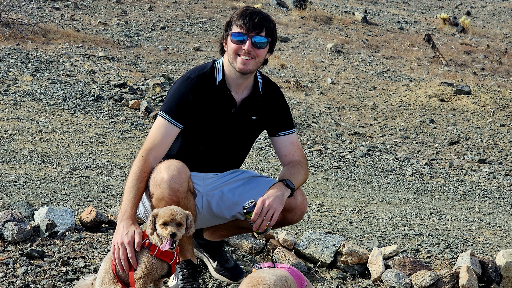 Taking Dogs on a Hike